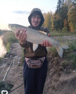 Борис